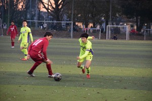DSC_0113 (1)
